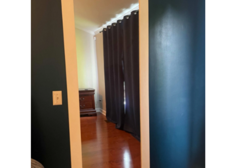 Secret Closet Door
