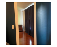 Secret Closet Door