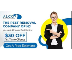 Reliable Pest Removal in Passaic County, NJ