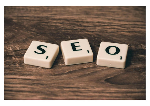 Fractional SEO Expert