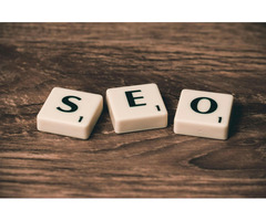 Fractional SEO Expert