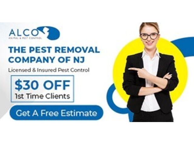 Transparent Pest Control Cost NJ – Get Quality Service Today