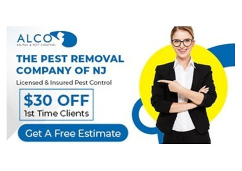 Transparent Pest Control Cost NJ – Get Quality Service Today