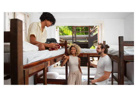Where to Stay: Top Chatham Accommodation Picks