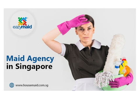 Professional Maid Agency in Singapore Safe and Efficient Service