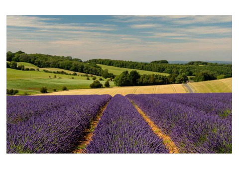 Private guided tours Cotswolds