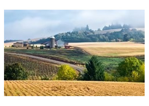 Preventive Septic Tank Maintenance in Eugene for Long-Term Care