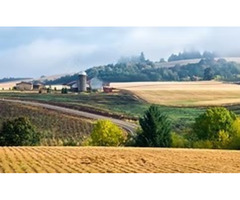 Preventive Septic Tank Maintenance in Eugene for Long-Term Care