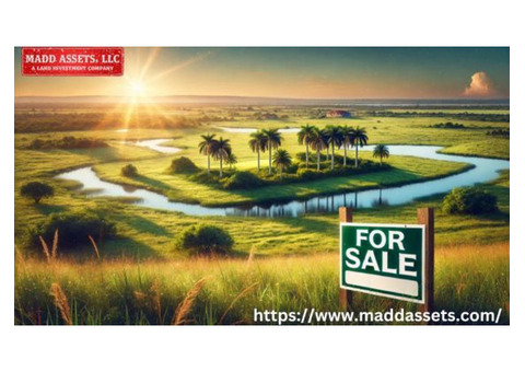 Explore Prime Vacant Lots for Sale in Florida for Dream Investment