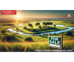 Explore Prime Vacant Lots for Sale in Florida for Dream Investment