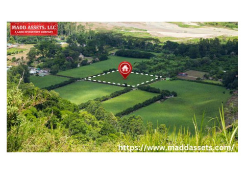 Prime Land for Sale in Florida for Smart Real Estate Investments