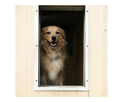 Expert Dog Door Installation Services – Pet Independence