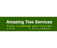 Tree Removal Estimate in NJ – Amazing Tree Services