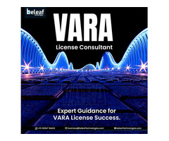 Leading VARA License Experts for Crypto Businesses