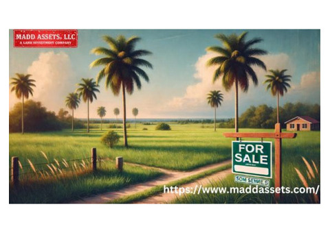 Discover Prime Land for Sale in Florida for Affordable Property Deals