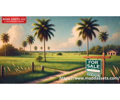 Discover Prime Land for Sale in Florida for Affordable Property Deals