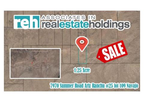 Build Your Home on 1.25 acres in Navajo County, AZ! Only $90/Mo