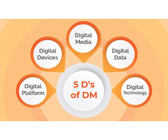 Best Digital Marketing Institute Near Me | Wide Institute