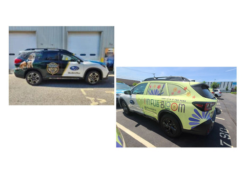 Transform Your Storefront with Custom Window Decals