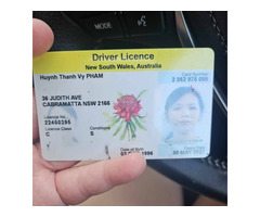 Buy Original passports, diplomas Passport, driver licenses