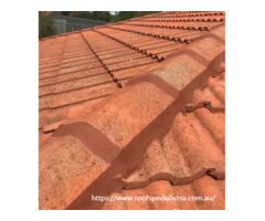 Roof Painters Adelaide