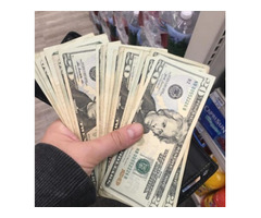 Buy Undetectable Counterfeit Banknotes