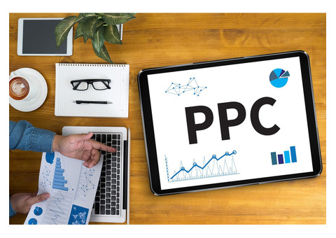 Ecommerce PPC Management Services