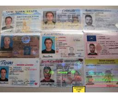 Buy DUPLICATE Documents Online