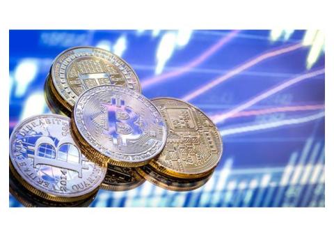 WAHEDs' Guide: How To Buy And Sell Bitcoin Online