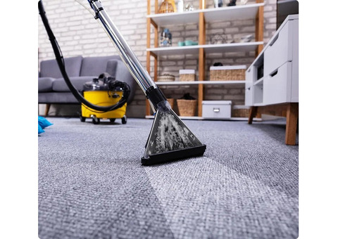 carpet cleaner near me