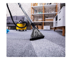 carpet cleaner near me
