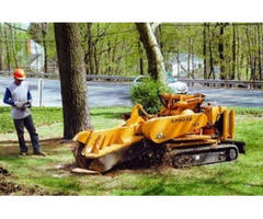 Tree Removal Estimate in NJ – Amazing Tree Services