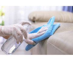 Sofa Cleaning Services in Sydney