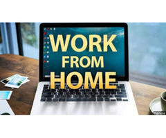 Home based Job work,form filling work call 7708244092.
