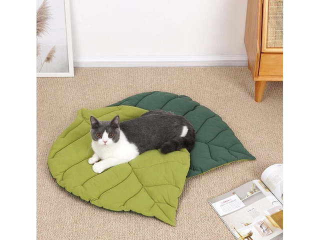 Keep Your Pets Safer With Smart Home and Pet Care Products