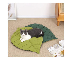 Keep Your Pets Safer With Smart Home and Pet Care Products