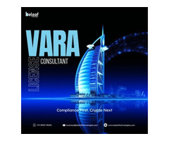 Best VARA license Consultant in India - Beleaf Technologies