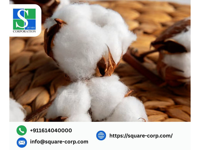 Reliable Sourcing from Organic Cotton Farms – Square Corporation
