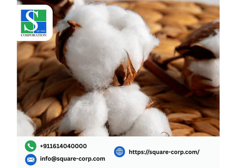 Reliable Sourcing from Organic Cotton Farms – Square Corporation
