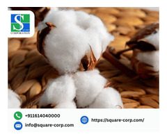 Reliable Sourcing from Organic Cotton Farms – Square Corporation