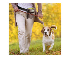 Best dog walking essentials