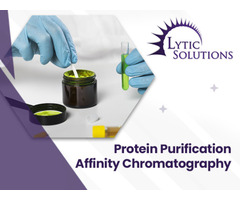 Protein Purification Using Affinity Chromatography: A Precise Approach