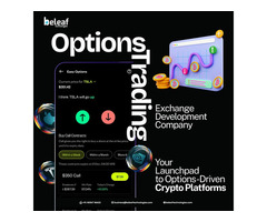 Top Options Trading Crypto Exchange Development - Beleaf Technologies