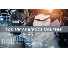 Hr Analytics Certification Course Online