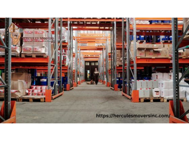 Maximize Space and Security with Expert Storage Facilities Solutions