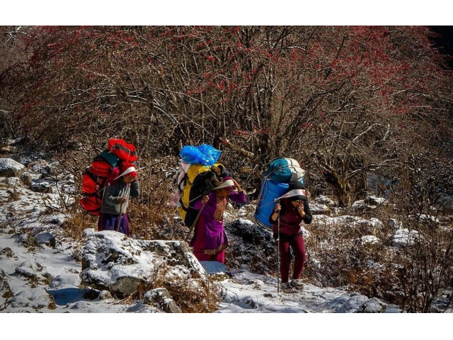 Manaslu Circuit Trek Without Guide: Is Solo Trekking Possible?