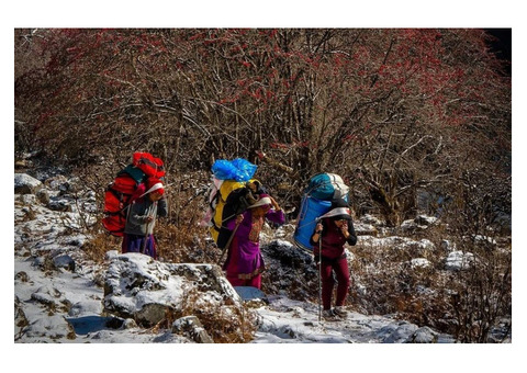 Manaslu Circuit Trek Without Guide: Is Solo Trekking Possible?