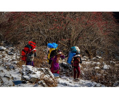 Manaslu Circuit Trek Without Guide: Is Solo Trekking Possible?