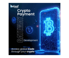 Crypto Payment Gateway Development Company