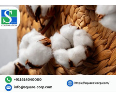 Trusted Organic Cotton Manufacturers in India – Square Corporation
